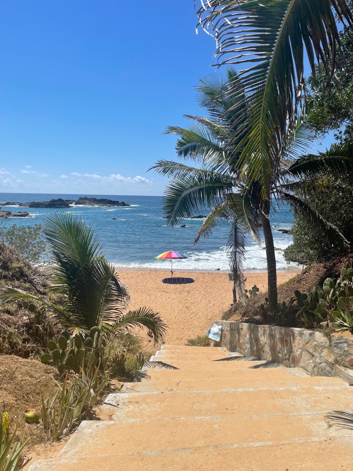 Sandy beach cove with palms and turquoise water