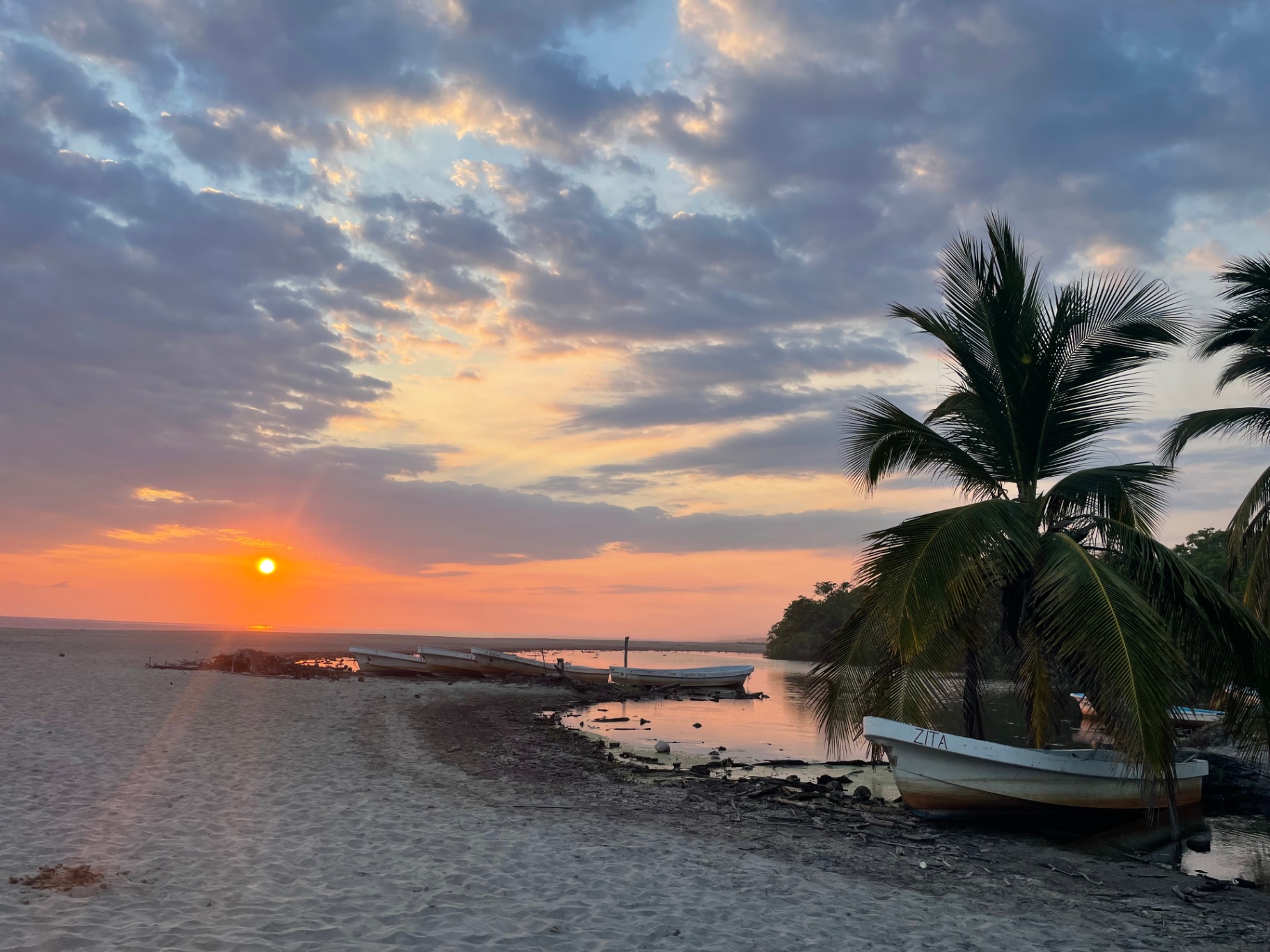 Boats on the lagoon at sunset with palms